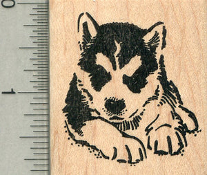 Husky Puppy Rubber Stamp, Dog