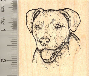 Fritz the Red Nosed Pitbull Dog Rubber Stamp