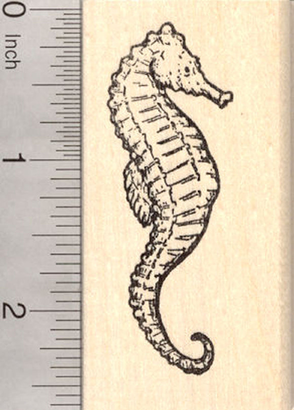 Seahorse Rubber Stamp, Marine Wildlife