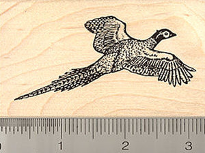 Common Pheasant Rubber Stamp, Ring-Necked