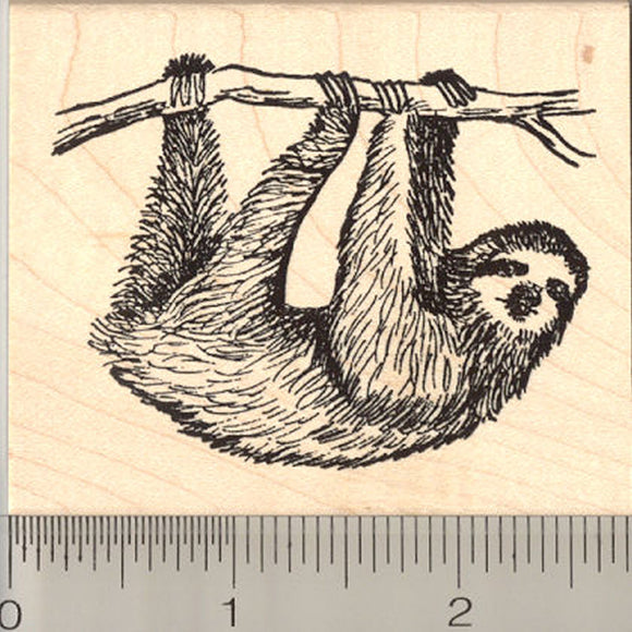 Sloth Rubber Stamp, Arboreal Three Toed Species of South and Central America