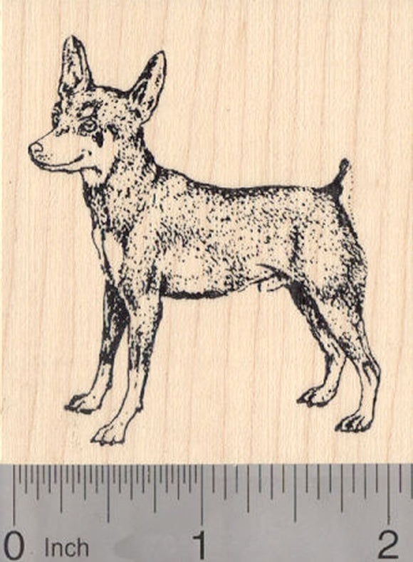 Miniature Pinscher Dog Rubber Stamp
