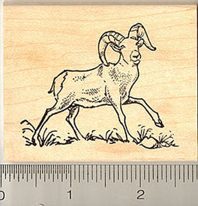 Bighorn Sheep Ram Rubber Stamp