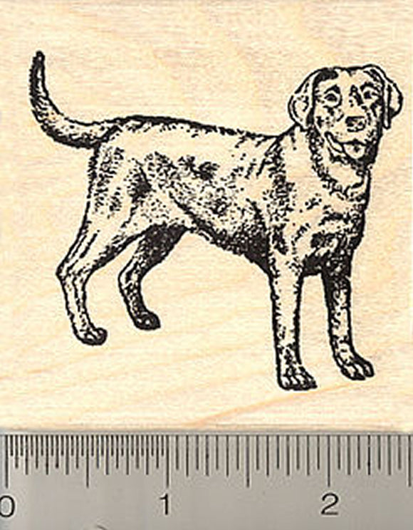 Black Labrador Retriever Dog Rubber Stamp