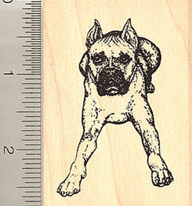 Boxer Dog Rubber Stamp