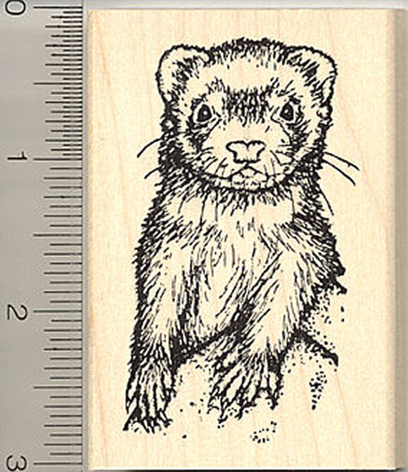 Ferret Rubber Stamp, Sitting Upright