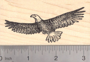 Bald Eagle Rubber Stamp, Bird in Flight