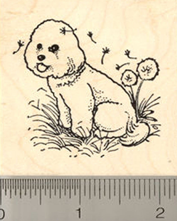 Bichon Frise Dog Rubber Stamp