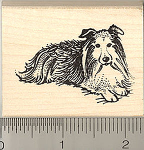 Shetland Sheepdog "Sheltie" Rubber Stamp