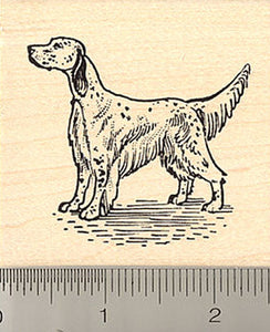 English Setter Rubber Stamp