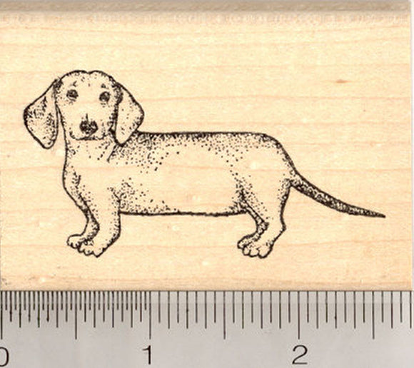 Dachshund Rubber Stamp, Wiener Dog