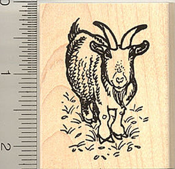 Horned Bearded Goat Rubber Stamp, Saanens