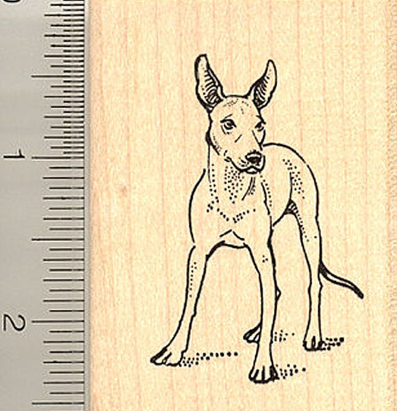 Xoloitzcuintle Mexican Hairless Dog Rubber Stamp