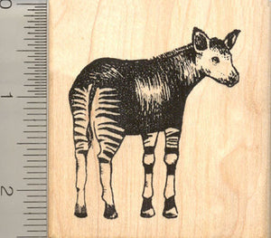 Okapi Rubber Stamp, African Congo Wildlife