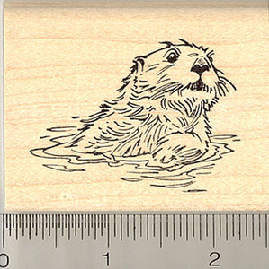 Sea Otter Rubber Stamp