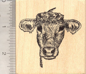 Cow Rubber Stamp, Cattle Portrait
