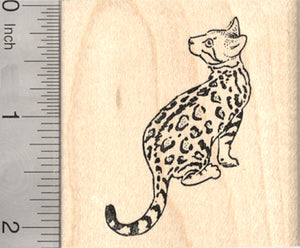 Bengal Cat Rubber Stamp