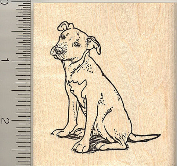 American Pit Bull Terrier Rubber Stamp