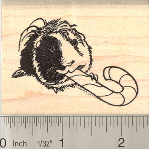 Guinea Pig with Candy Cane Rubber Stamp
