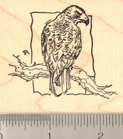 Red Tailed Hawk on Perch Rubber Stamp