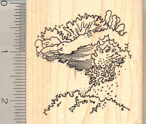 Coral Reef Rubber Stamp