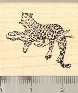 Leopard in Tree Rubber Stamp