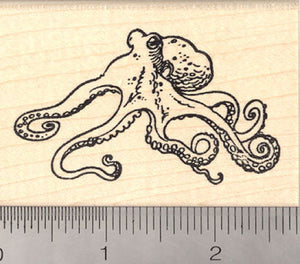 Octopus Rubber Stamp