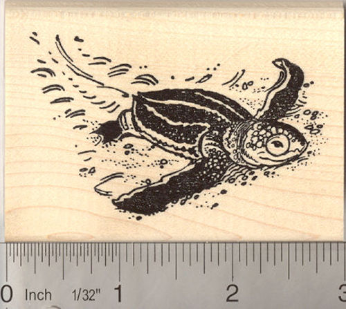Detailed Baby Leatherback Sea Turtle Rubber Stamp