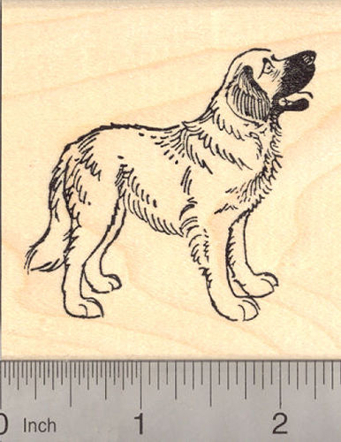 Leonberger dog Rubber Stamp