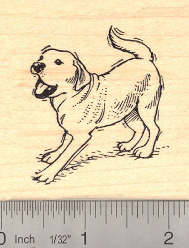 Playful Labrador Retriever Dog Rubber Stamp