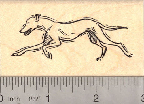 Running Greyhound Dog Rubber Stamp