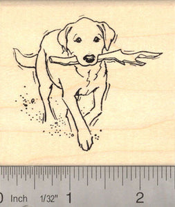 Labrador Retriever Fetching Stick Rubber Stamp