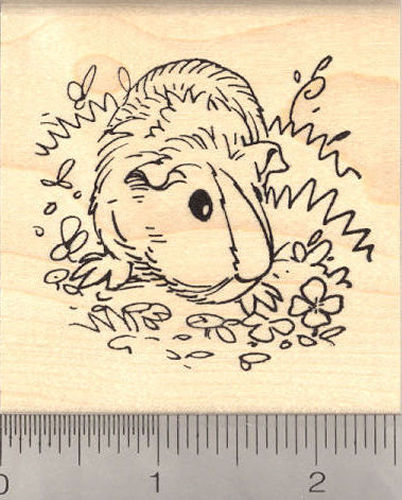 Lucky Guinea Pig (with four leaf clover) Rubber Stamp