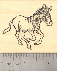 Quagga Zebra Rubber Stamp (Extinct Megafauna)