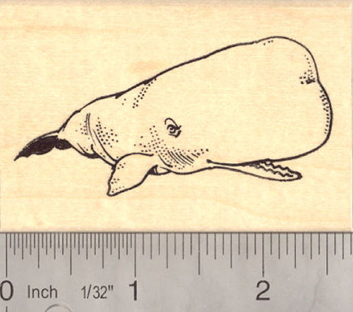Sperm Whale Rubber Stamp Marine