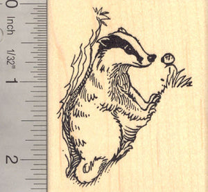 Badger with Ladybug Rubber Stamp