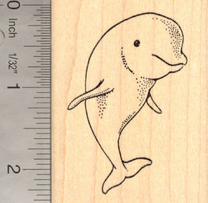 Beluga Whale Rubber Stamp, Marine Wildlife