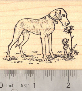 Great Dane with Flowers Rubber Stamp