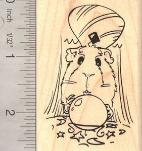 Guinea Pig with Crystal Ball, Fortune Teller, Magic