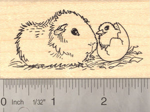 Guinea Pig with Hatching Chick, Easter Rubber Stamp