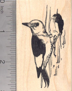 Redheaded Woodpecker Rubber Stamp, Threatened North American Bird