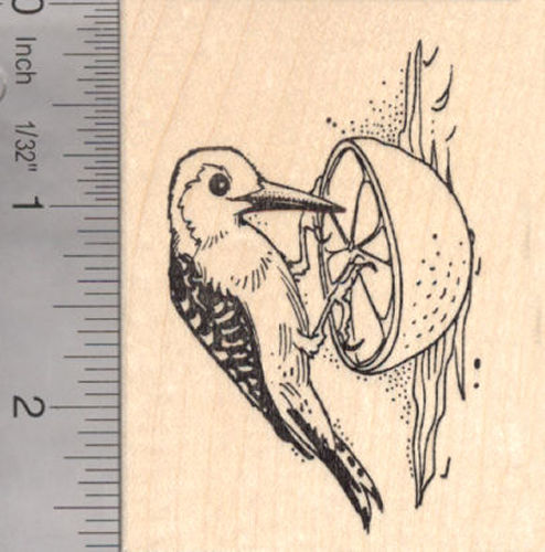 Red Bellied Woodpecker Rubber Stamp