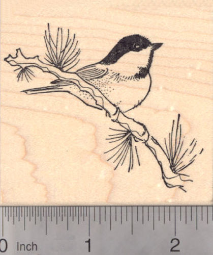 Black Capped Chickadee Rubber Stamp, North American Songbird, State Bird of Maine and Massachusetts