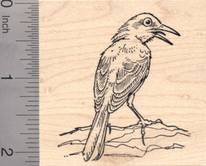 Mockingbird Rubber Stamp, New World Birds