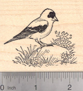 American Goldfinch Rubber Stamp, AKA Eastern Goldfinch, Wild Canary Finch