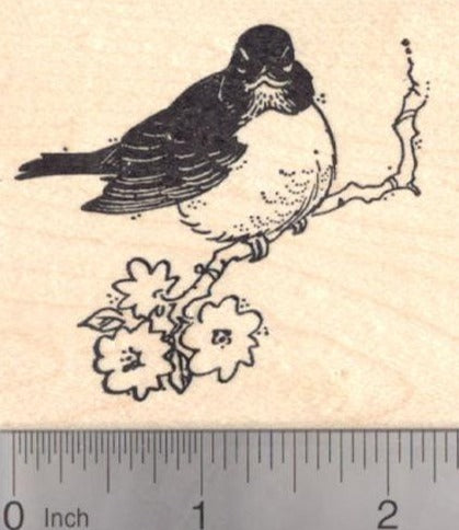 North American Robin Rubber Stamp, Migratory Songbird, State Bird of Connecticut, Michigan, and Wisconsin