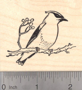 Waxwing Bird Rubber Stamp