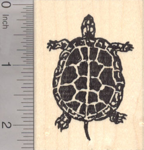 Turtle Rubber Stamp