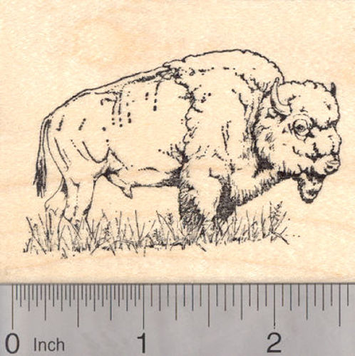 American Bison Rubber Stamp, Buffalo