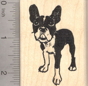 Boston Terrier Dog Rubber Stamp